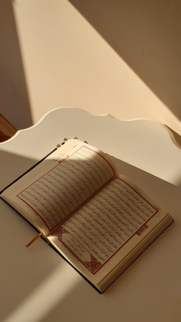مدخل في علم التفسير